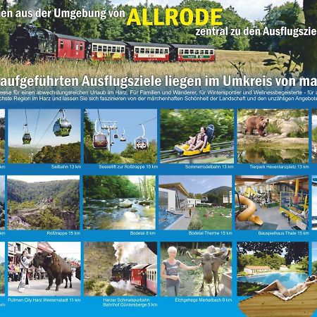 Ferienanlage Harzfreunde アルローデ エクステリア 写真
